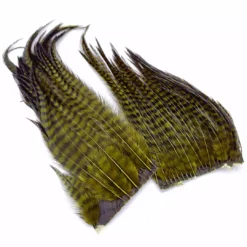 Hareline Dubbin, Inc. Woolly Bugger Hackle Patches