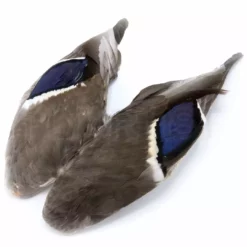 Hareline Fly Tying Materials Mallard Wing Pair