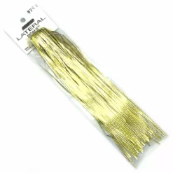 Hedron Lateral Scale