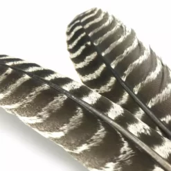 Hareline Ozark Oak Mottled Turkey Quills Fly Tying Materials