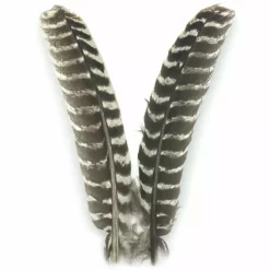 Hareline Ozark Oak Mottled Turkey Quills Fly Tying Materials 5 Hareline Ozark Oak Mottled Turkey Quills Fly Tying Materials