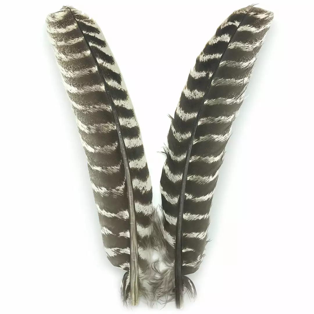 Hareline Ozark Oak Mottled Turkey Quills Fly Tying Materials 3 Hareline Ozark Oak Mottled Turkey Quills Fly Tying Materials