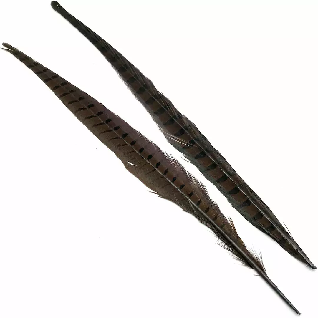 Hareline Ringneck Pheasant Tail Pair 3 Hareline Ringneck Pheasant Tail Pair