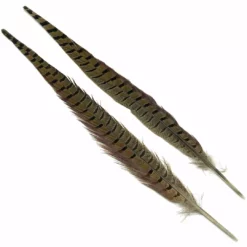 Hareline Ringneck Pheasant Tail Pair 14 Hareline Ringneck Pheasant Tail Pair