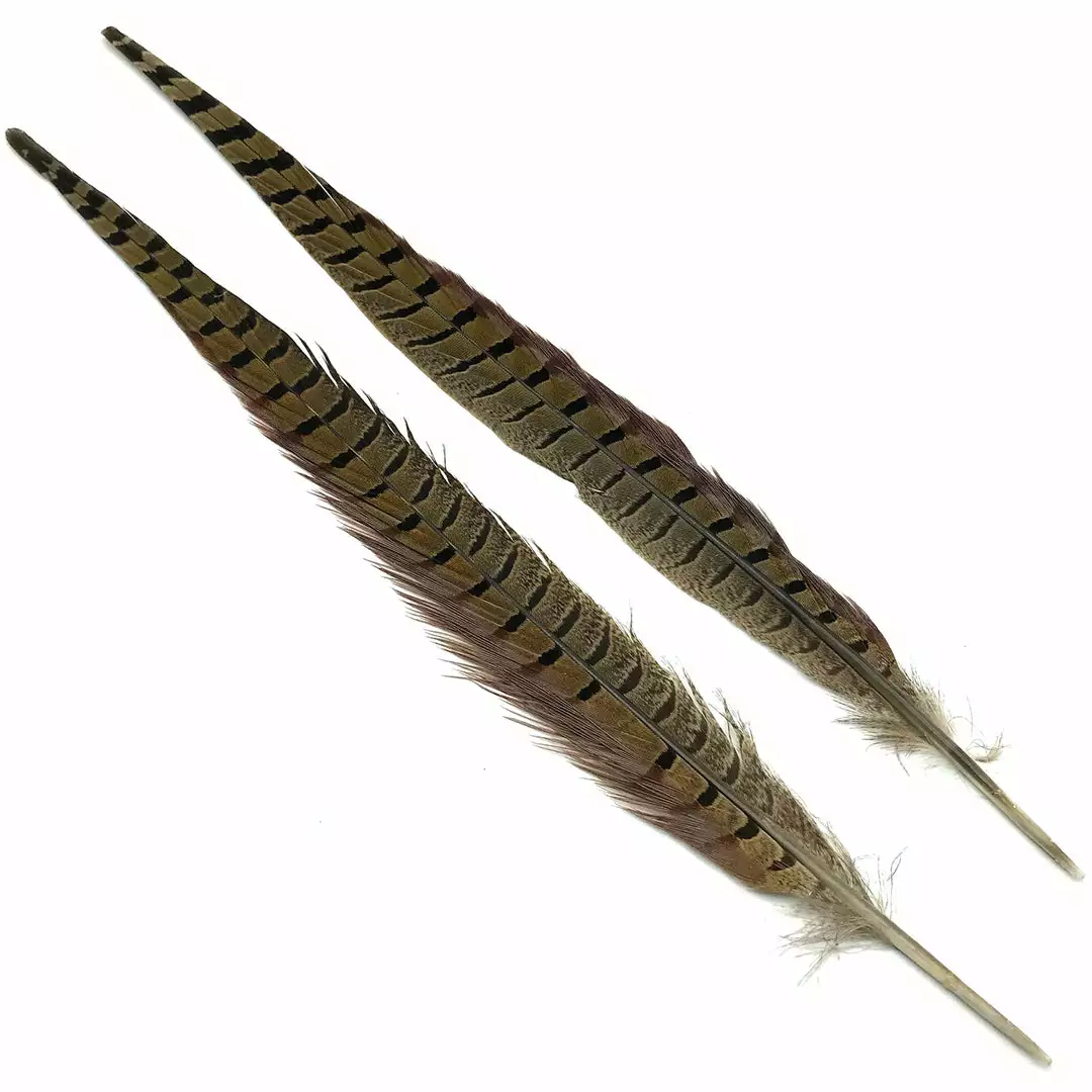 Hareline Ringneck Pheasant Tail Pair 5 Hareline Ringneck Pheasant Tail Pair