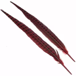 Hareline Ringneck Pheasant Tail Pair 18 Hareline Ringneck Pheasant Tail Pair