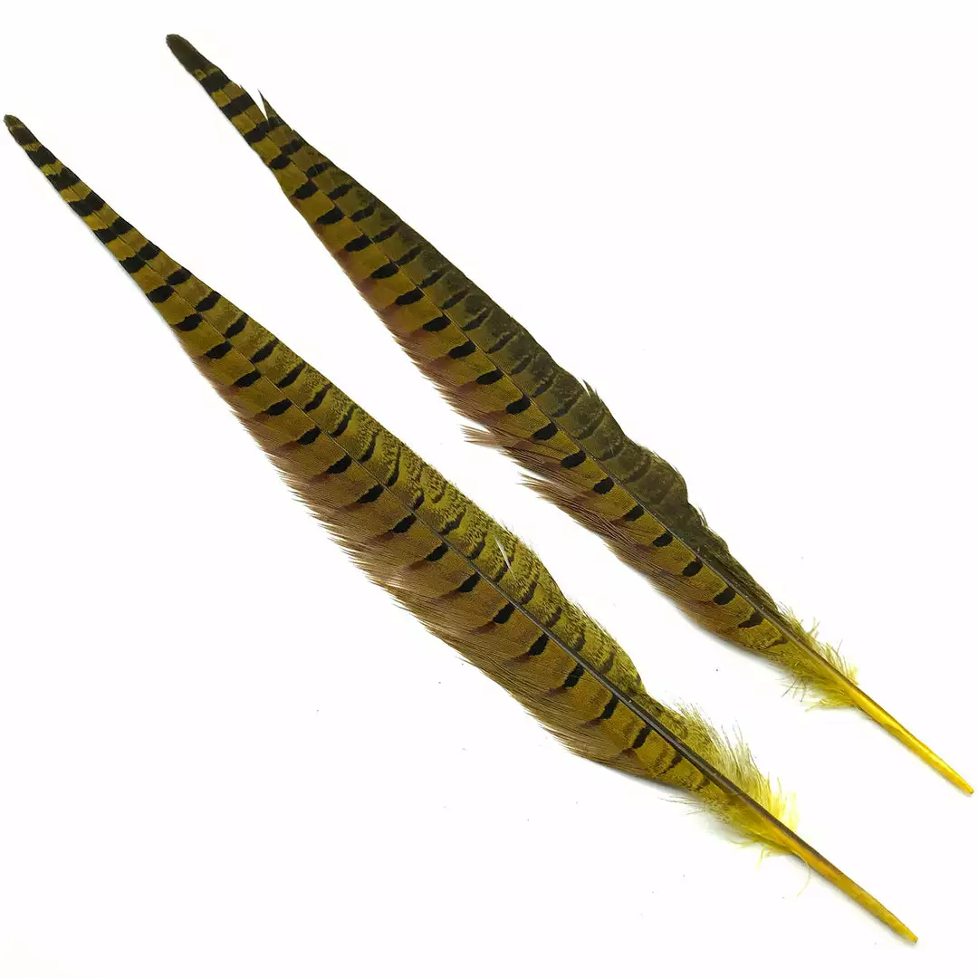 Hareline Ringneck Pheasant Tail Pair 10 Hareline Ringneck Pheasant Tail Pair
