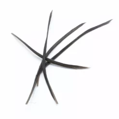 Hareline Stripped Goose Biots 22 Hareline Stripped Goose Biots