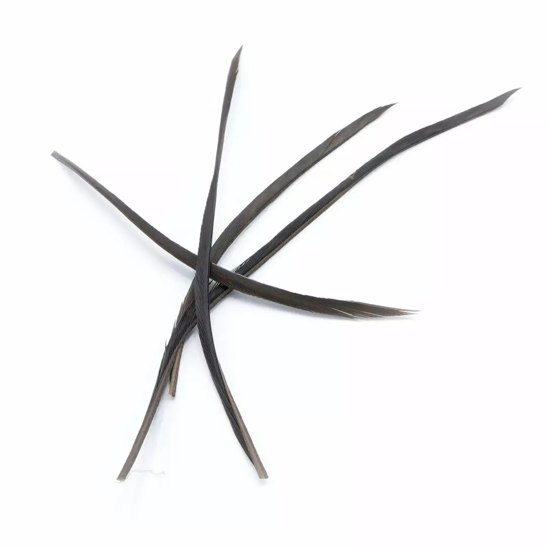 Hareline Stripped Goose Biots 5 Hareline Stripped Goose Biots