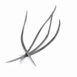 Hareline Stripped Goose Biots 28 Hareline Stripped Goose Biots