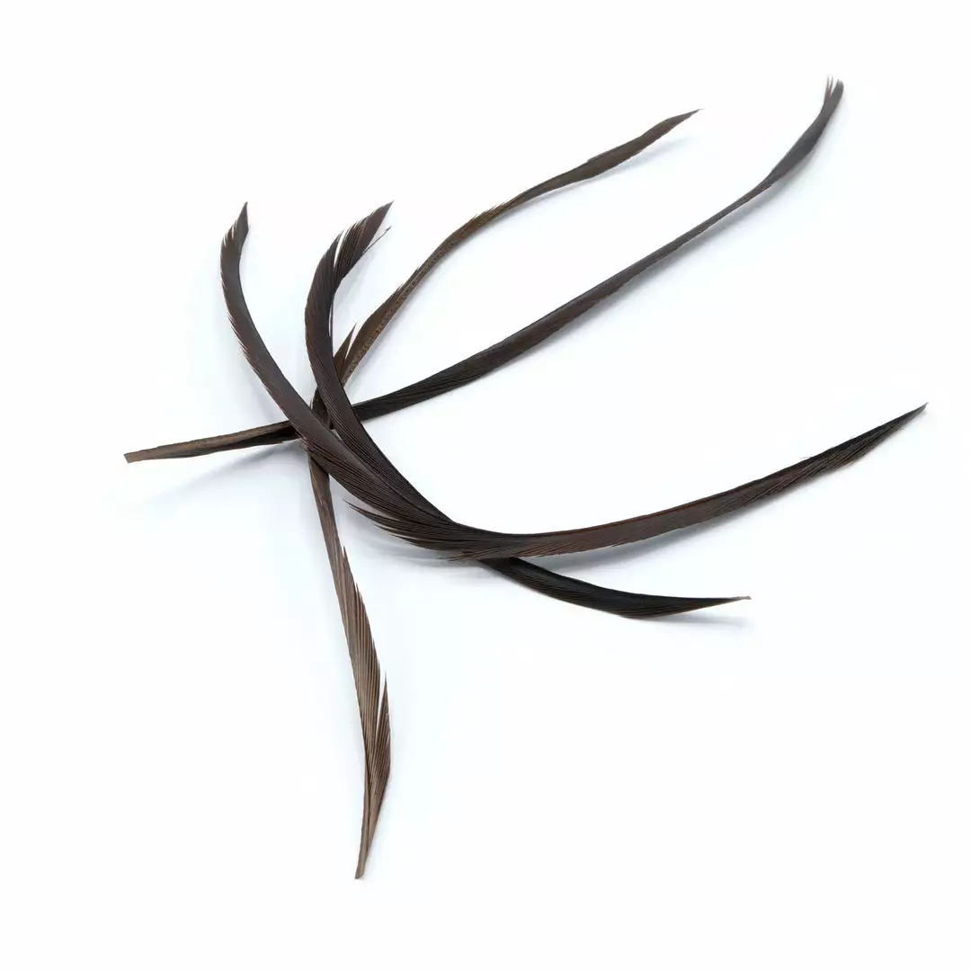 Hareline Stripped Goose Biots 13 Hareline Stripped Goose Biots