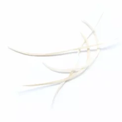 Hareline Stripped Goose Biots 34 Hareline Stripped Goose Biots