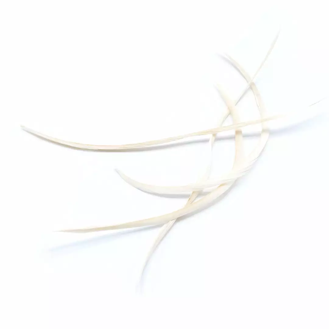 Hareline Stripped Goose Biots 17 Hareline Stripped Goose Biots