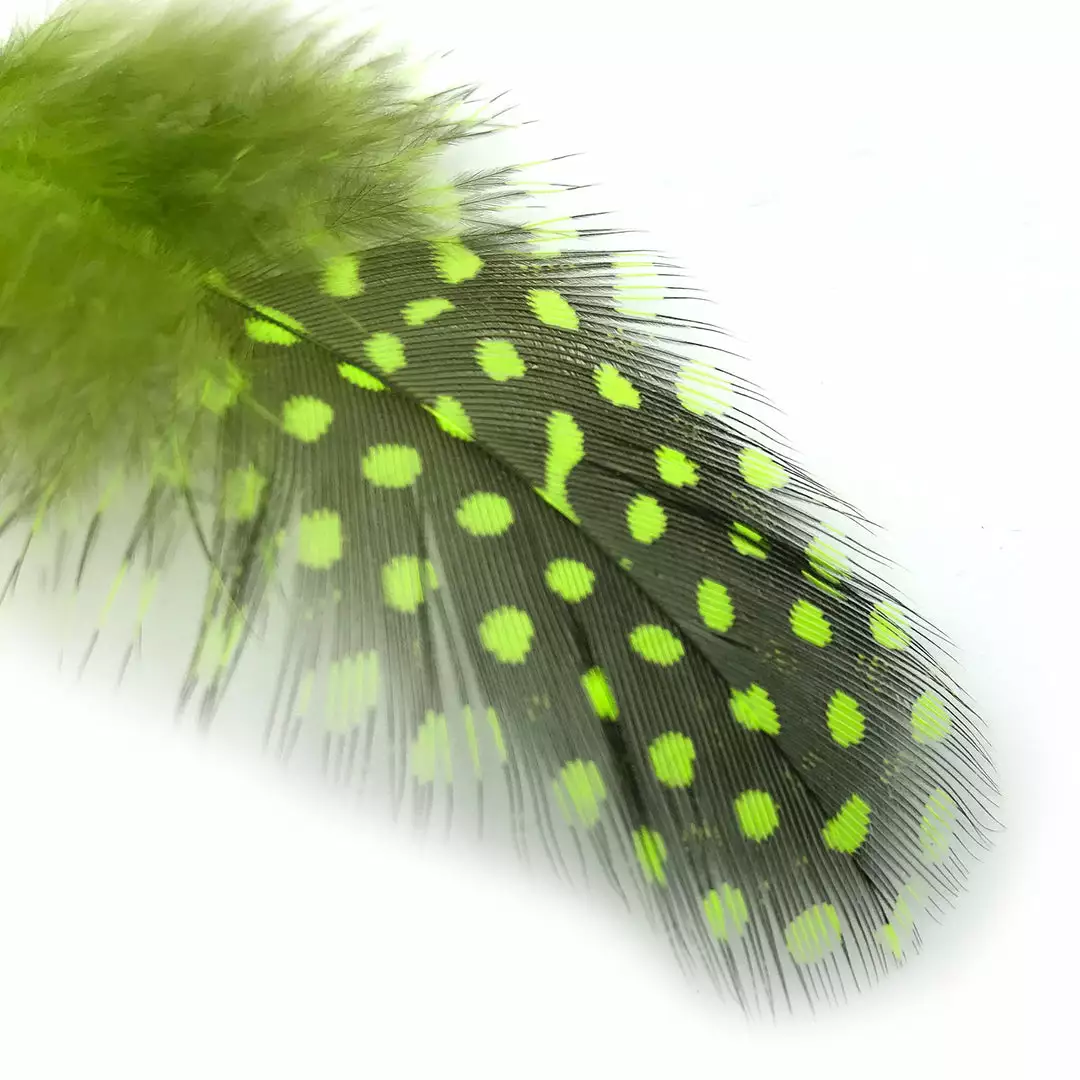 Hareline Strung Guinea Feathers 4 Hareline Strung Guinea Feathers