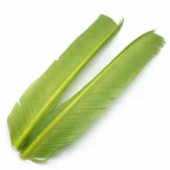 Hareline Turkey Biot Quills Fly Tying Materials