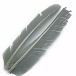 Hareline Turkey Biot Quills Fly Tying Materials