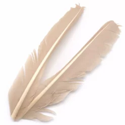 Hareline Turkey Biot Quills Fly Tying Materials