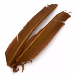 Hareline Turkey Biot Quills Fly Tying Materials