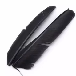 Hareline Turkey Biot Quills Fly Tying Materials