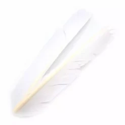 Hareline Turkey Biot Quills Fly Tying Materials