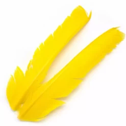 Hareline Turkey Biot Quills Fly Tying Materials